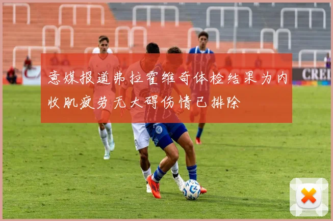 意媒报道弗拉霍维奇体检结果为内收肌疲劳无大碍伤情已排除