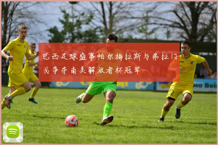 巴西足球盛事帕尔梅拉斯与弗拉门戈争夺南美解放者杯冠军