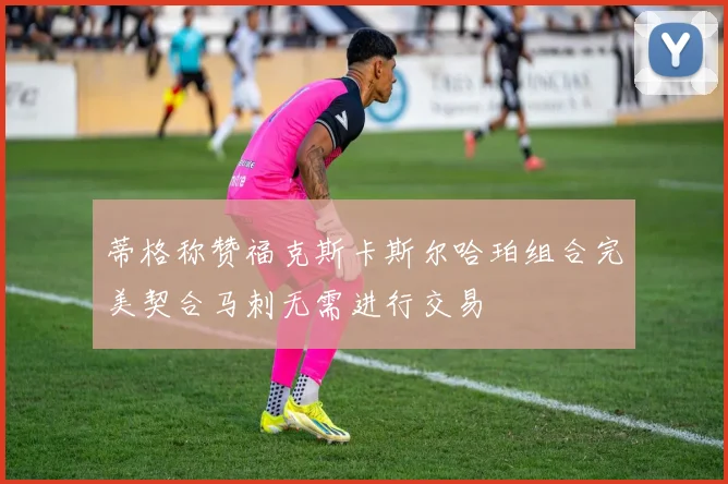 蒂格称赞福克斯卡斯尔哈珀组合完美契合马刺无需进行交易