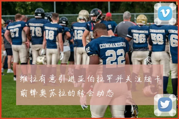 维拉有意引进亚伯拉罕并关注纽卡前锋奥苏拉的转会动态