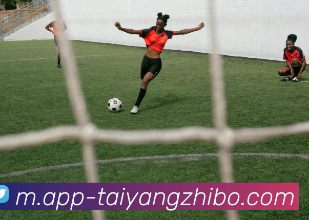 太阳城发展历程