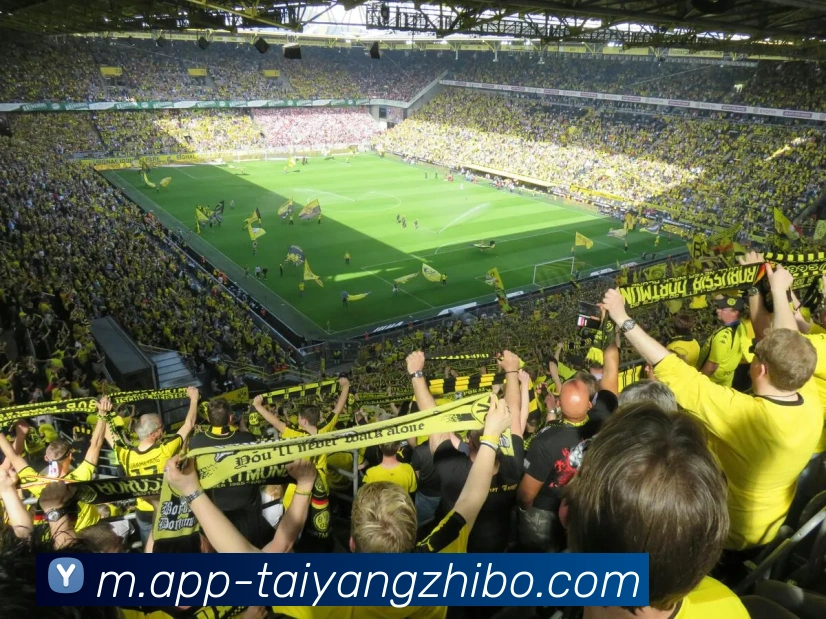 阿尔特塔透露厄德高哈弗茨或能出战热刺正在调查热身受伤情况